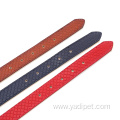 Padded Real Genuine Leather Dog Collar